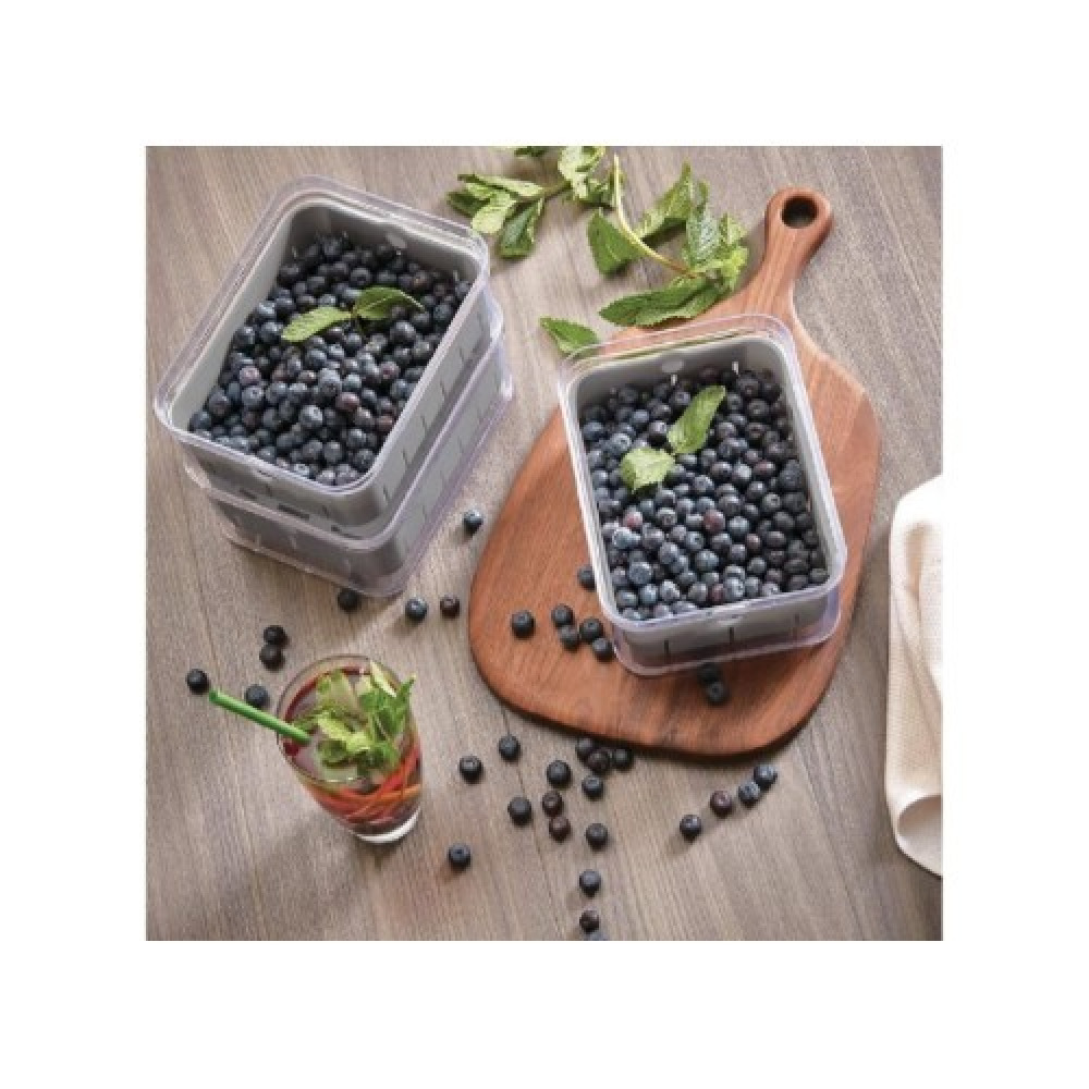 آي ديزاين كريسب بيري بن كلير جراي - 3