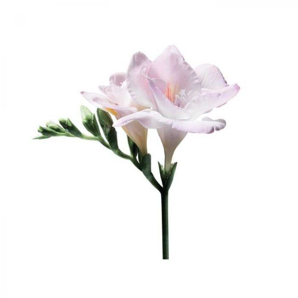 GIORGIO ARMANI / Eau de Parfum, Si, For women, 100 ml - 3