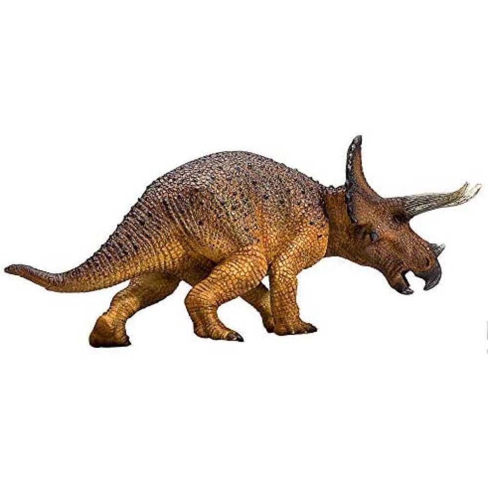 Triceratops - 3