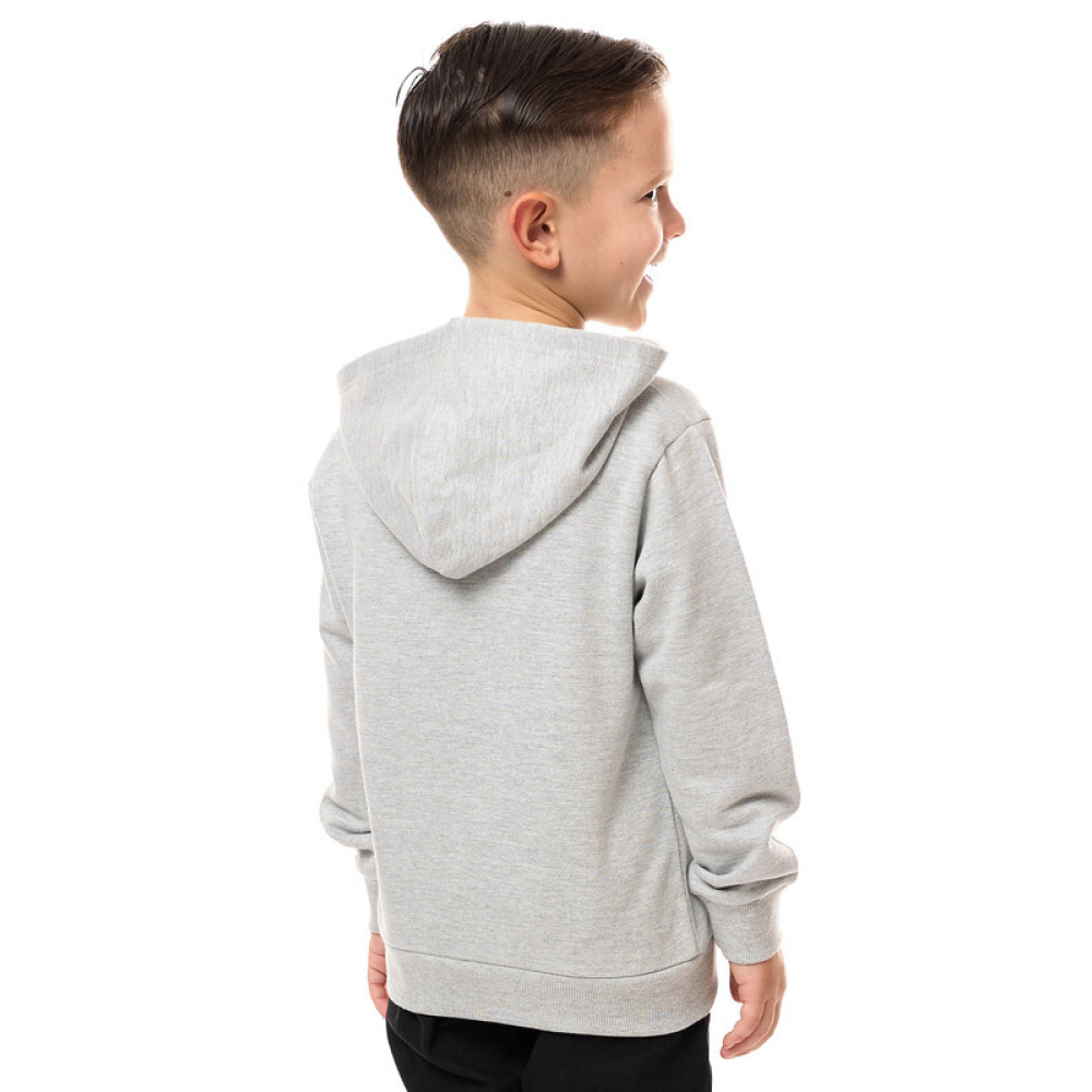 ТОЛСТОВКА С Капюшоном Для МАЛЬЧИКОВ, СЕРАЯ, мил 2-3 года - 3