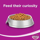 Chicken in gravy, Wet cat food, Adult +1 years, 400 g - 3 miniature