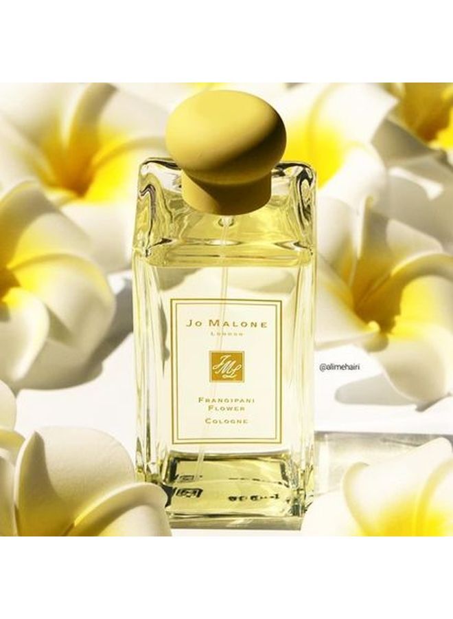 Jo Malone Frangipani Flower Cologne Frangipani Perfume Shop Jo