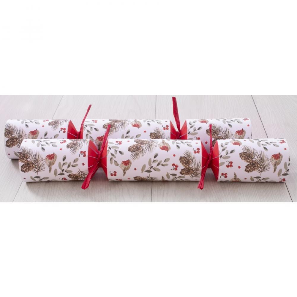 RSW 6 Family Eco Robin 12 inch Crackers - 2