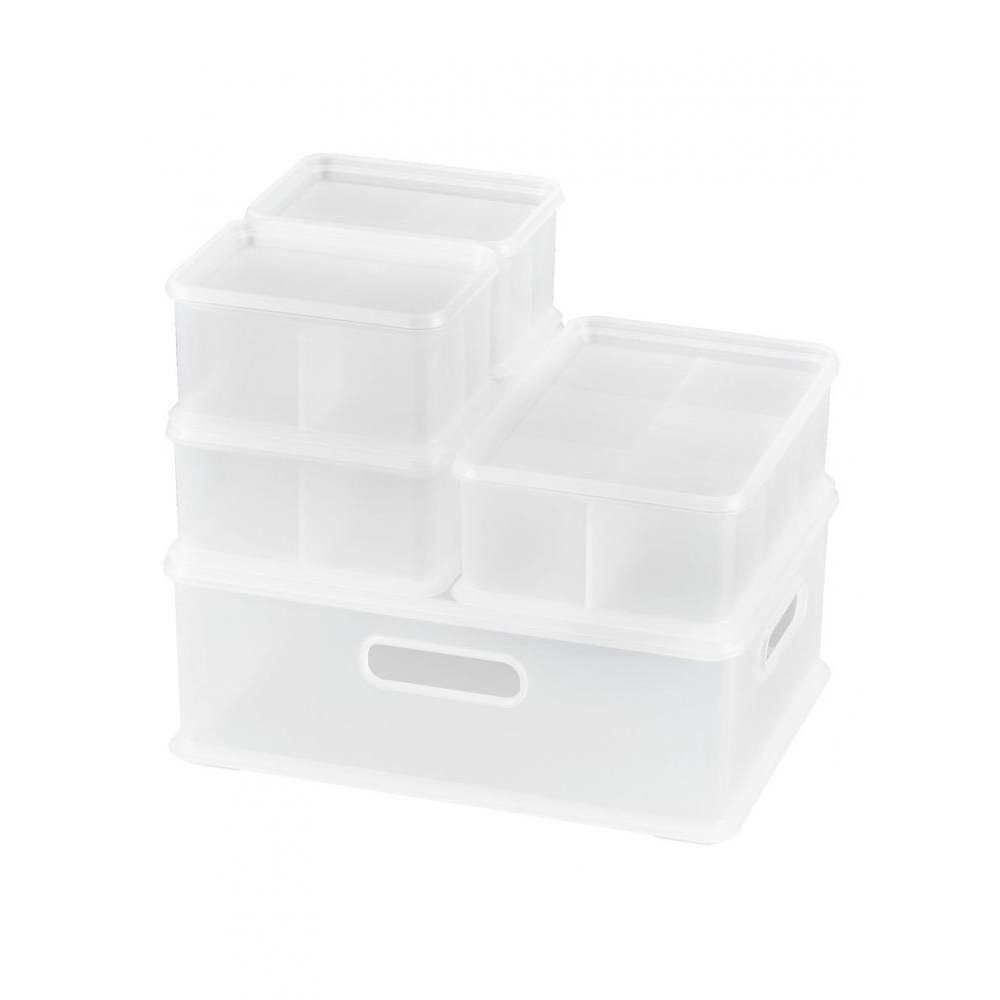 صندوق تخزين ضحل بغطاء صغير الحجم من Pearl Life مزود بفواصل - 2