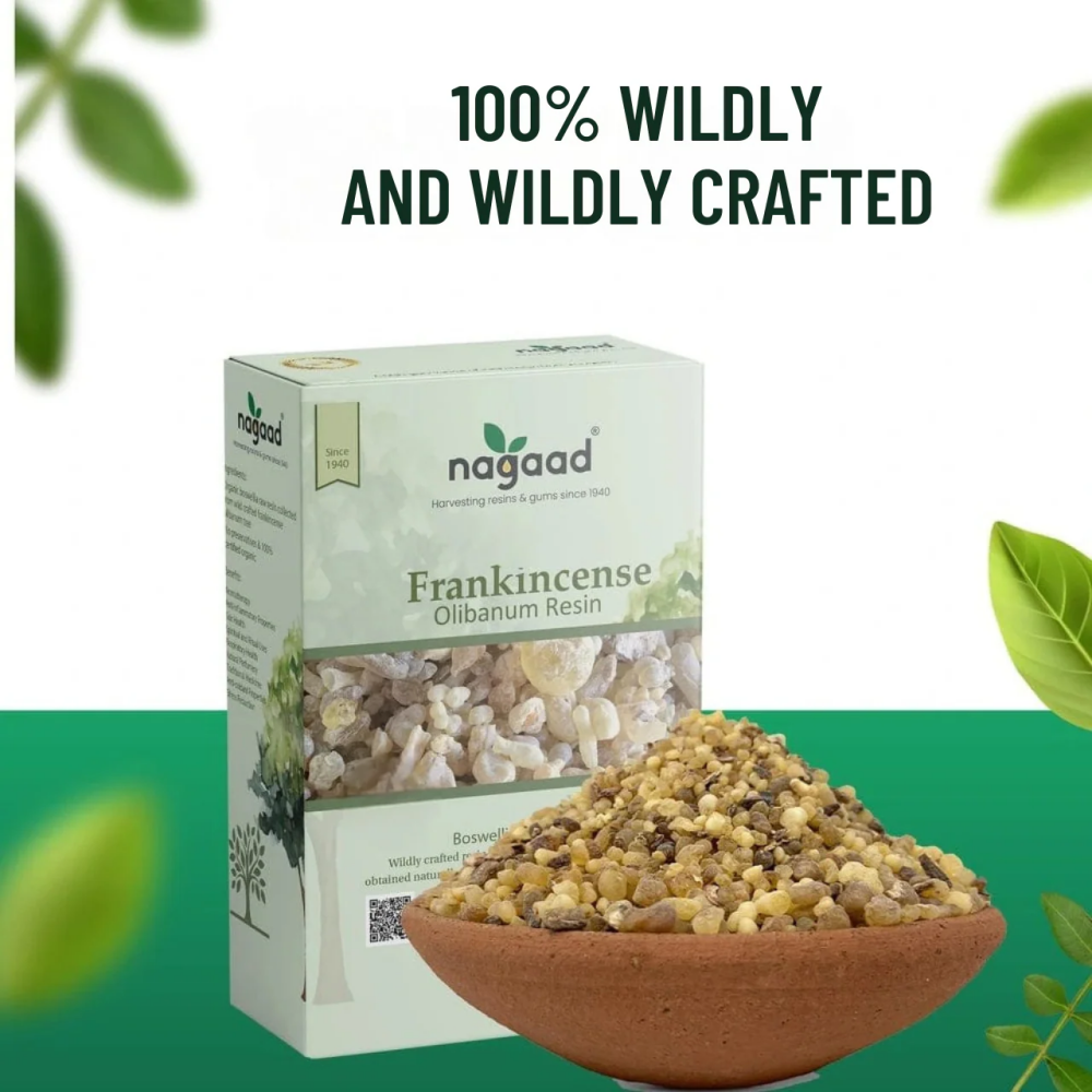 Nagaad Organic Frankincense Boswellia Carterii Organic Incense Resin - USDA Certified 100% Organic Luban - 5