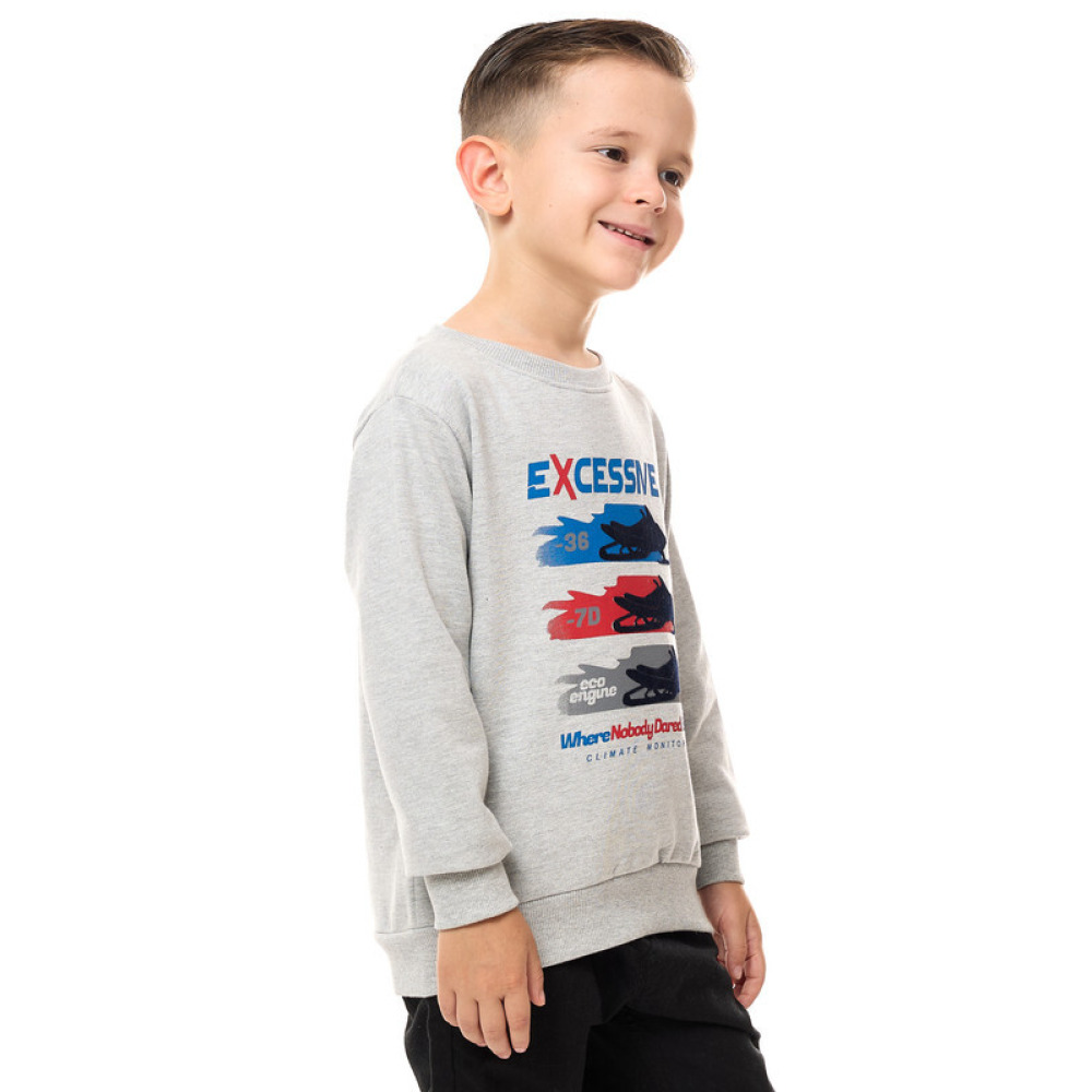 Boys' Sweatshirt Grey Mil 2-3 YRS - 2