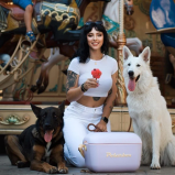 Polarbox 20L Classic Cooler Box with Leather Strap, Rigid Thermal Insulated Ice for Beach, Picnic Party, Nude\/Olive PB-9259, Lilac - Yellow - 2 miniature