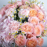 Blooming Romance - 3 miniature