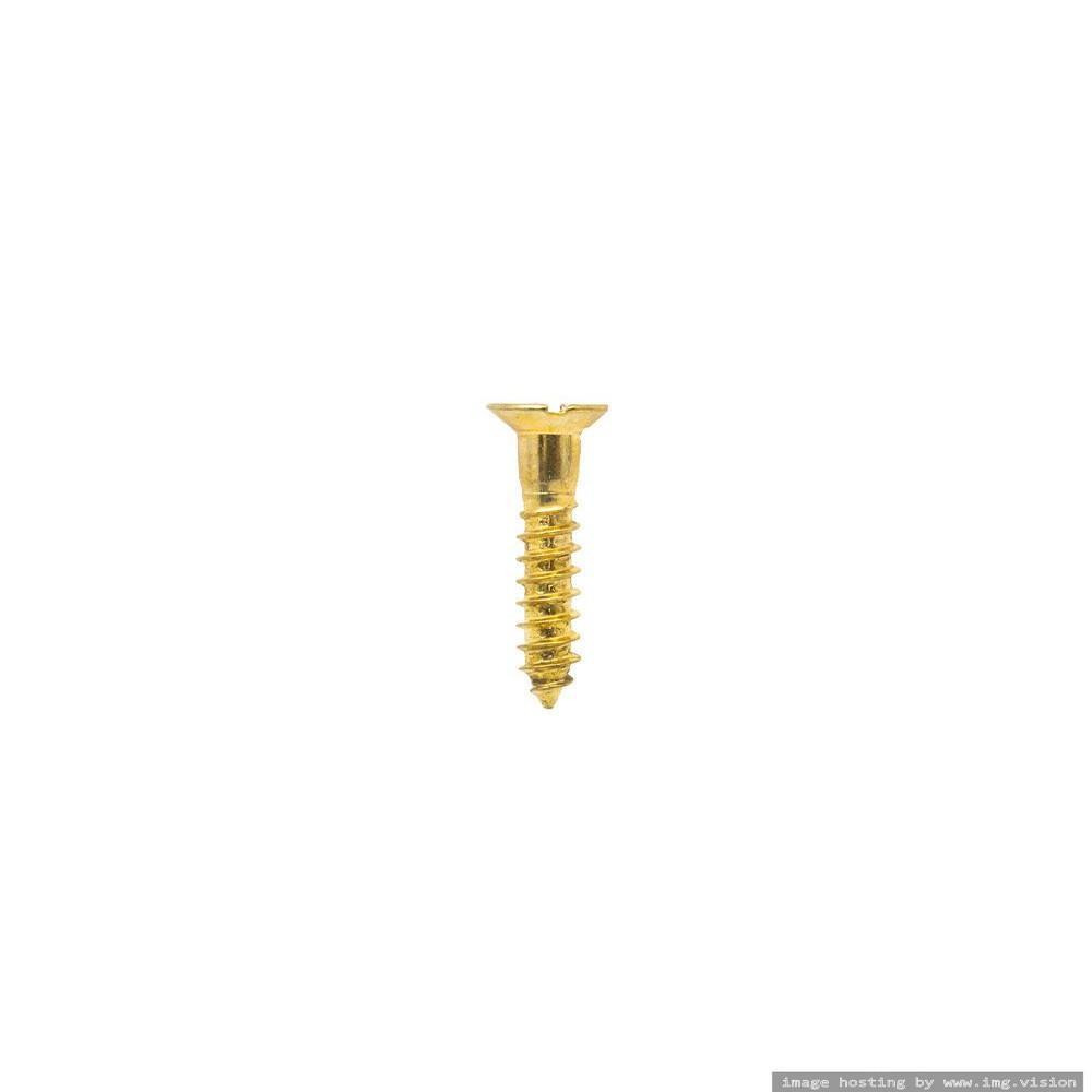 Homesmiths BP Шуруп По ДЕРЕВУ 1 1/4 ДЮЙМА X 10 мм - 2