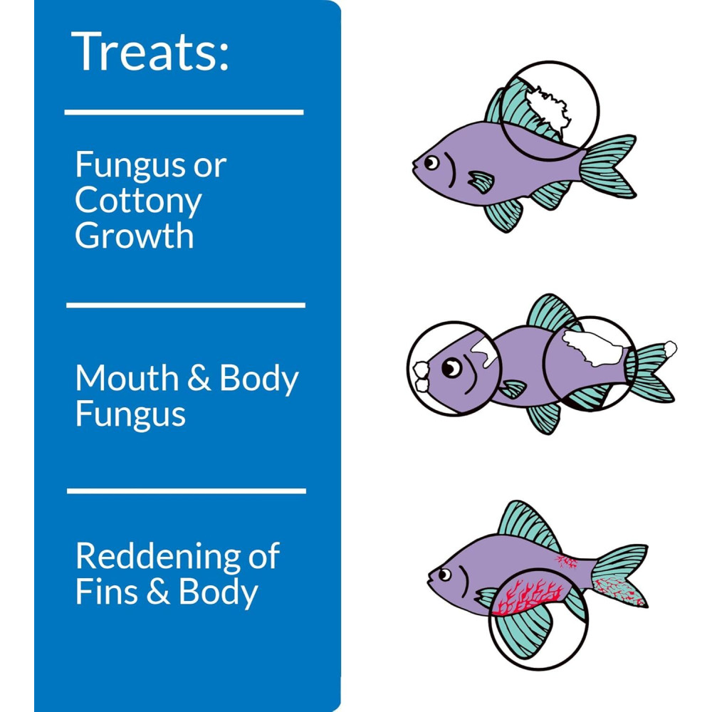 Treats Fungal Infections API Pimafix, multicolor, 118 ml (4 OZ) - 3