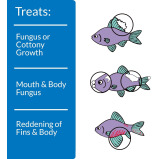 Treats Fungal Infections API Pimafix, multicolor, 118 ml (4 OZ) - 3 miniature