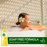 Dettol, Body Wash Fresh, Citrus Scent, 300Ml - 6 miniature