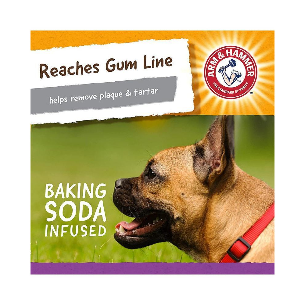 Arm and Hammer Super Treadz Mini Gator Toy for Dogs, Purple - 5