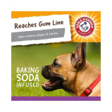 Arm and Hammer Super Treadz Mini Gator Toy for Dogs, Purple - 5 miniature