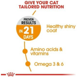 Royal Canin Hair & Skin Care Adult Dry Cat Food 400g - 2 miniature