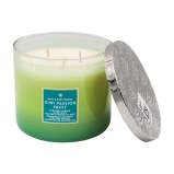 Bath & Body Works, Candle, Kiwi passion fruit, 7 oz. (198 g) - 3 miniature