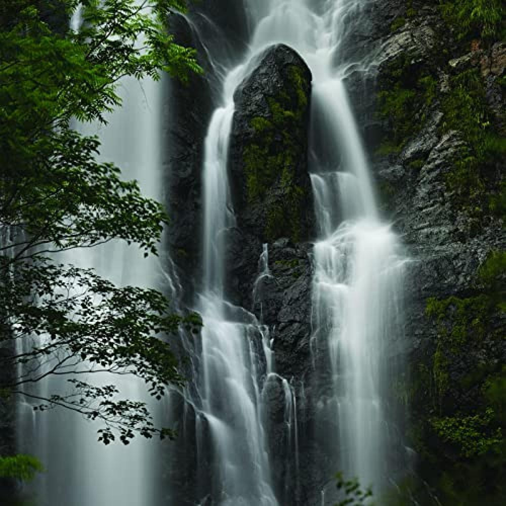 عدسة NIKKOR Z مقاس 100-400 مم وبفتحة f/4.5-5.6 VR S - 2