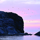 عدسة NIKKOR Z مقاس 100-400 مم وبفتحة f/4.5-5.6 VR S - 3 miniature