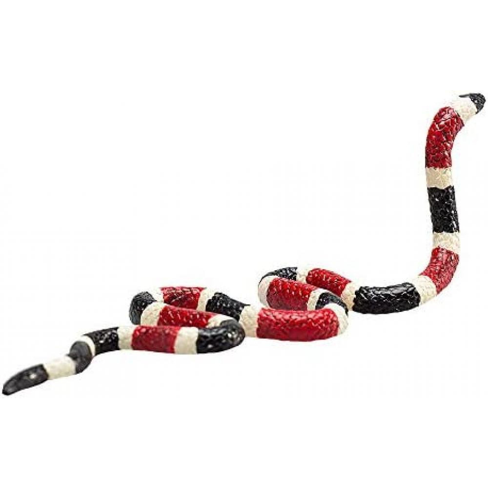 Coral Snake - 4