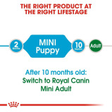 Royal Canin Shn Size Health Nutrition Mini Puppy 2Kg Dog Dry Food - 3 miniature