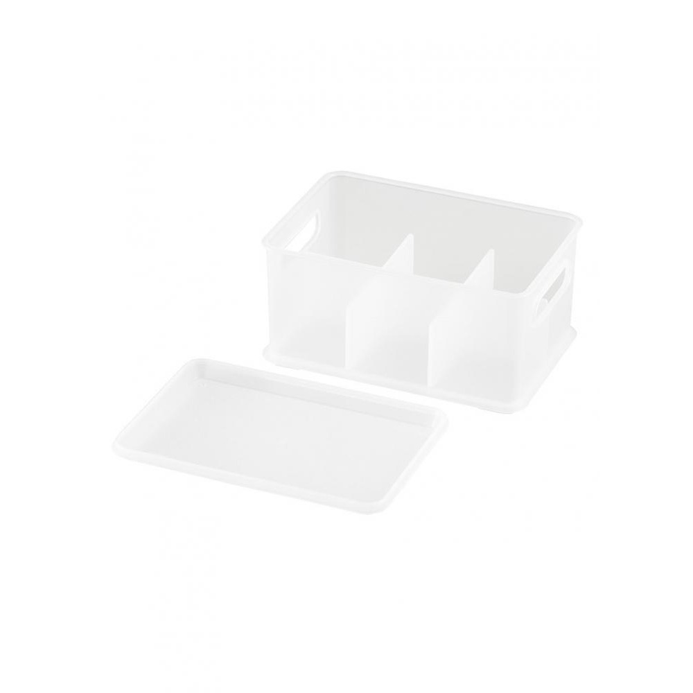 Pearl Life X-Small Lidded Deep Storage Bin With Dividers - 1