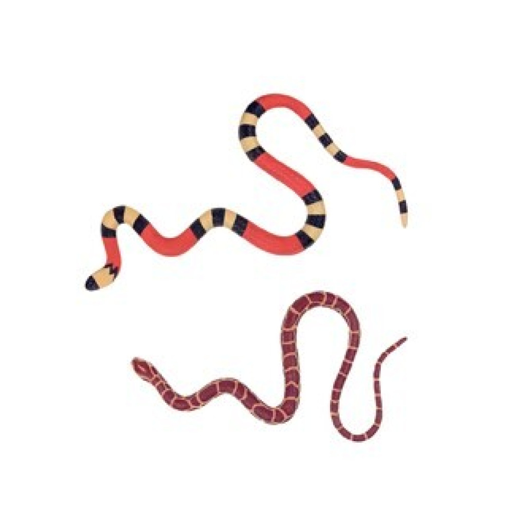 Toy Club Earth Mega Stretch! Snake Assorted 1 Piece - 1