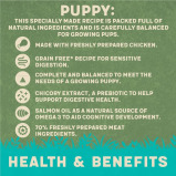 HARRINGTONS, Влажный КОРМ Для Щенков С КУРИЦЕЙ И картофелем, 380 г - 4 miniature