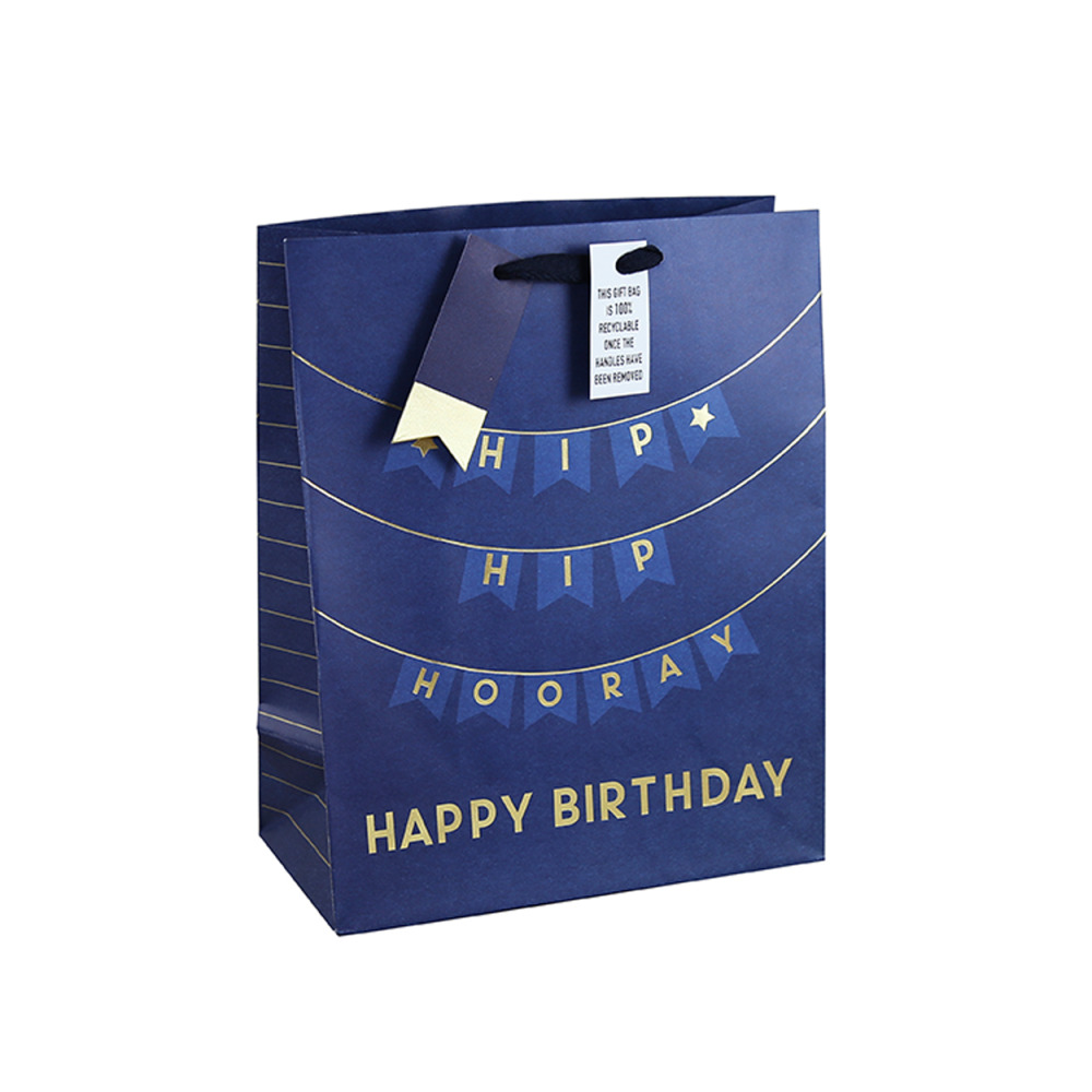 Gift Bag Eurowrap Male Birthday Large - 1