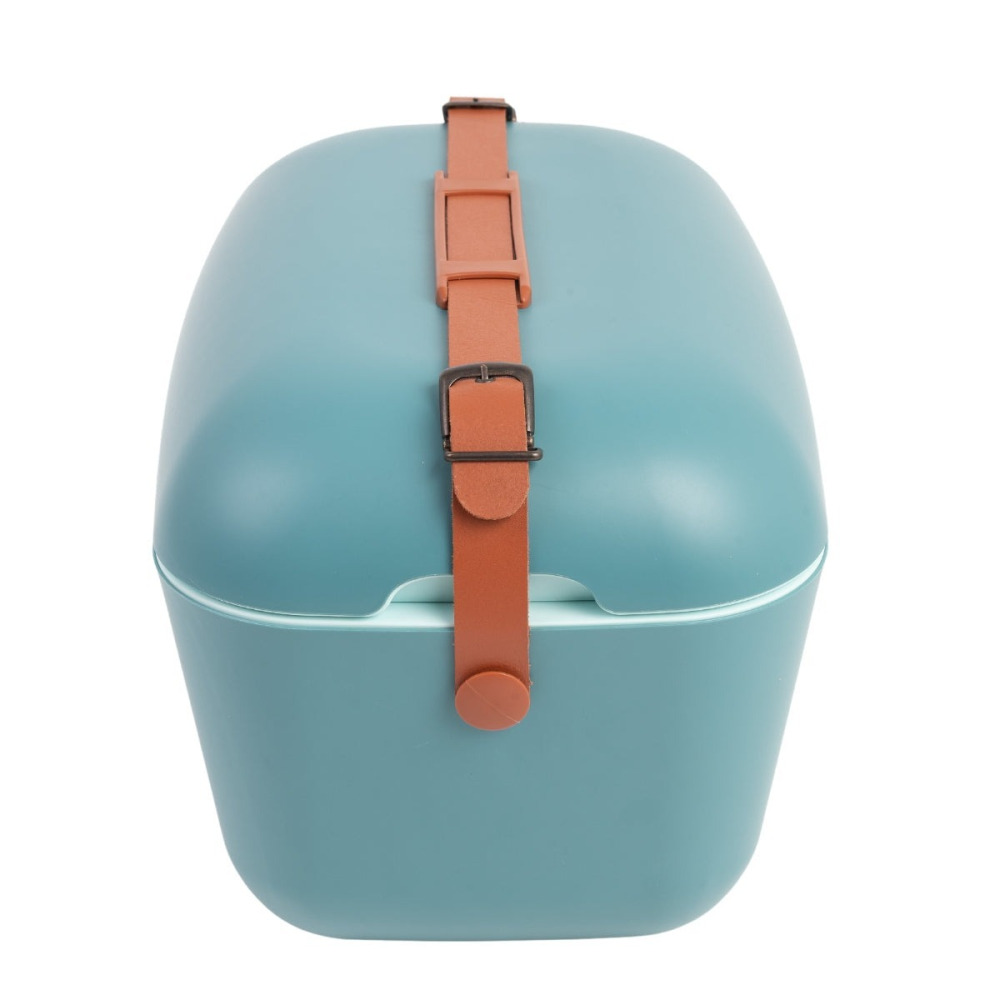 Polarbox Classic Cooler Box with Leather Strap, Blue - Marine Green Rigid Thermal Insulated Ice for Beach, Picnic Party, 12 L - 2