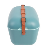 Polarbox Classic Cooler Box with Leather Strap, Blue - Marine Green Rigid Thermal Insulated Ice for Beach, Picnic Party, 12 L - 2 miniature