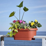 Bloem 24" Clay Rail Planter - 2 miniature