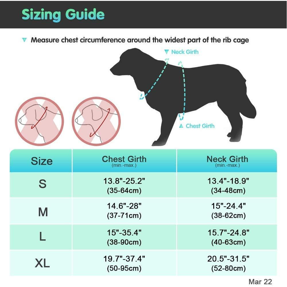 Eagloo / Dog harness, No pull, With 2 metal rings, Adjustable - 3