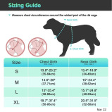 Eagloo / Dog harness, No pull, With 2 metal rings, Adjustable - 3 miniature