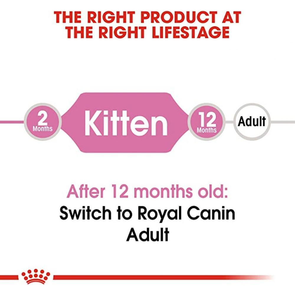 ROYAL CANIN / Cat food, Dry, Second age kitten, 14.1 oz (400 g) - 2