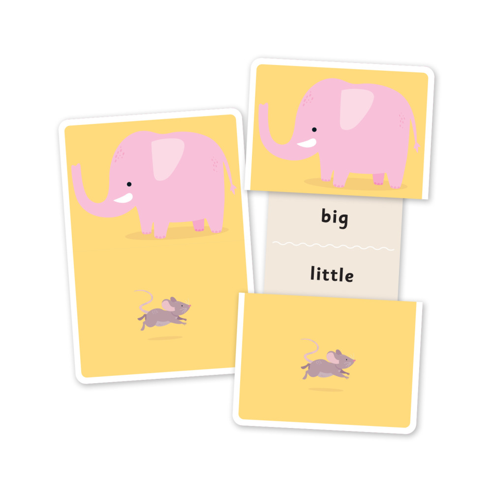 Hinkler Junior Explorers Напротив Флэш-Карточек SLIDE & Learn - 2