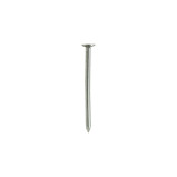 Homesmiths Common Nails 2.5 inch - 1 miniature