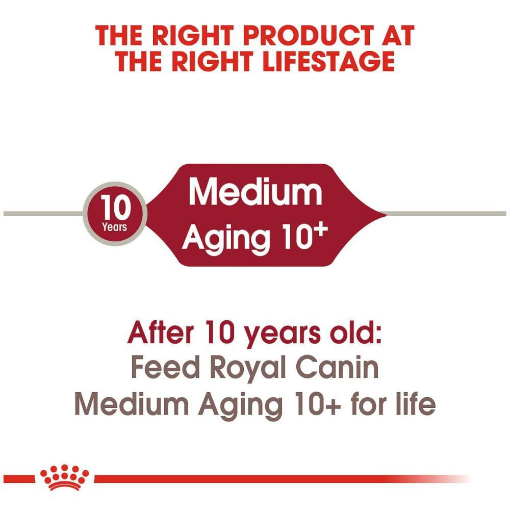 Royal Canin, Dry dog food, Medium dogs from 11 to 25 kg, Ageing 10+years, 105.8 oz (3 kg)  - 5