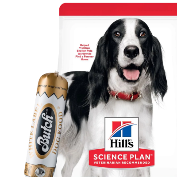 منتجات للكلاب