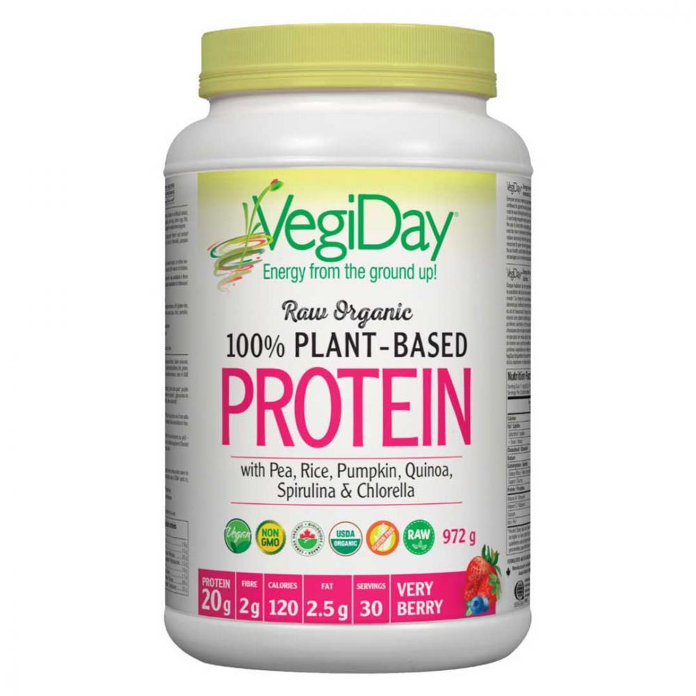 VegiDay Raw Organic Plant-Based Protein, Very Berry, 30 - 1
