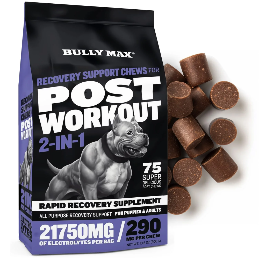 Bully Max, Recovery Support Chews, Post Workout, 300 g - 1