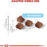 Royal Canin / Cat food, Mother and babycat, Brown, 14.1 oz (400 g) - 9 miniature