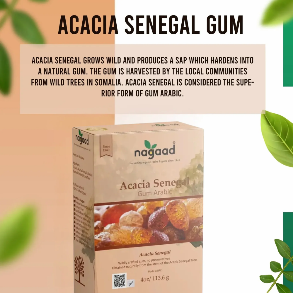 Nagaad Organic Acacia Senegal Gum Arabic, USDA Certified, 100% Pure Natural Emulsifier for Food & Smoothies, Cooking – 113g - 5