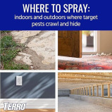 Terro 16 OZ Aerosol Spider Killer-3 Terro Multi-Insect Killer - Kills Spiders, Ants, Roaches \& More  - 5 miniature