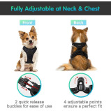 Eagloo / Dog harness, No pull, With 2 metal rings, Adjustable - 5 miniature