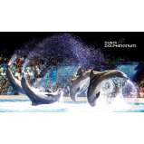 Wonderdays Premium Gift Box - Standard Dolphin and Seal Show seats for Two - Unique gift for christmas, birthdays and any other occasion - 2 miniature