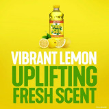 Clorox Pine-Sol Cleaner Multi Purpose, 28 oz. - 4 miniature