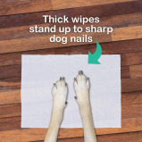 Pet Soft / Pet wipes, Apple scent, 20x15 cm, 100 pcs - 7 miniature