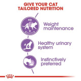 Royal Canin Feline Health Nutrition Стерилизованный Влажный Корм Для Взрослых кошек В желе - 3 miniature