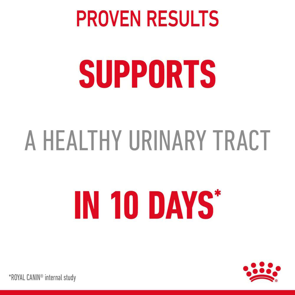 Royal Canin, Wet food, Urinary care in gravy, Pouch box, 12 x 3 oz (12 x 85 g) - 2