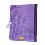 Harry Potter: Quidditch Lock  Key Diary Hardcover by Insight Editions (Author) - 2 miniature